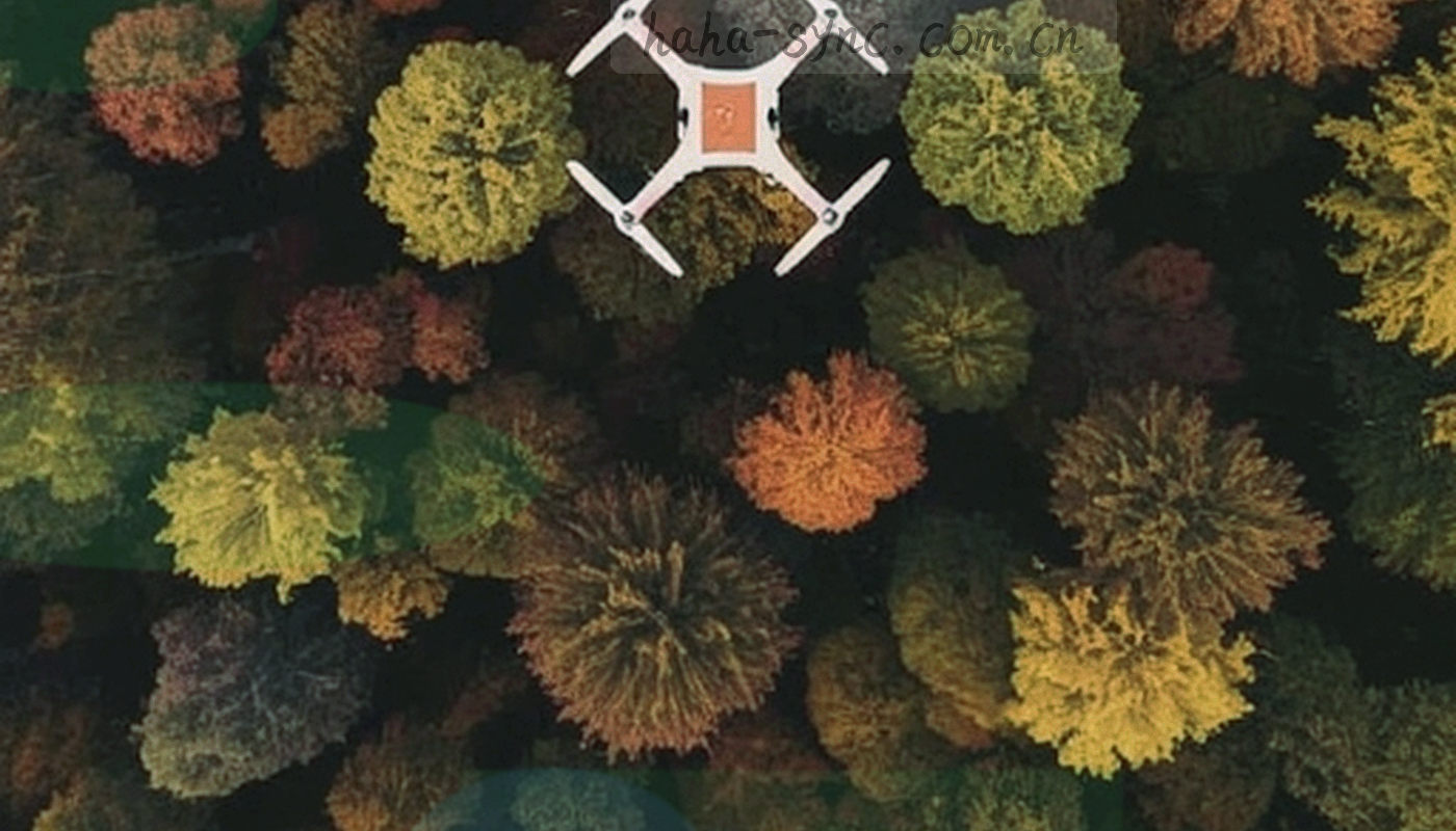 深色背景上的数据流向抽象图形与网格光晕